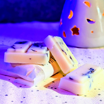 Starry Night botanical soy wax melt in front of a wax warmer.